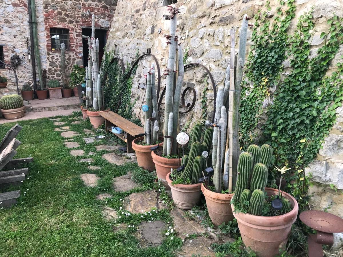 Case Di Vetulonia Castiglione della Pescaia Buitenkant foto