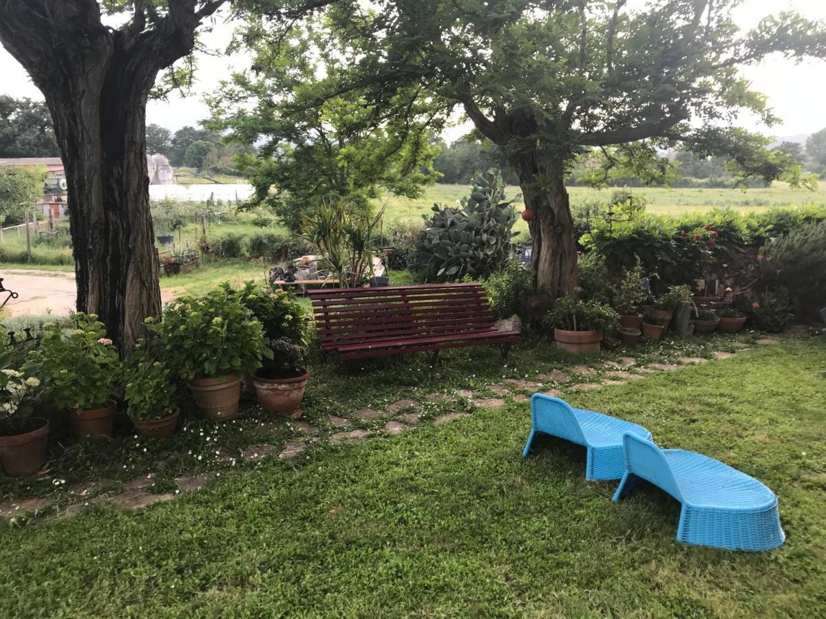 Case Di Vetulonia Castiglione della Pescaia Buitenkant foto